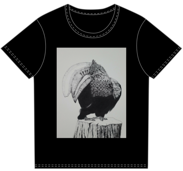 dzioborożec, kwapiszewska art, kwapiszewska, malarstwo